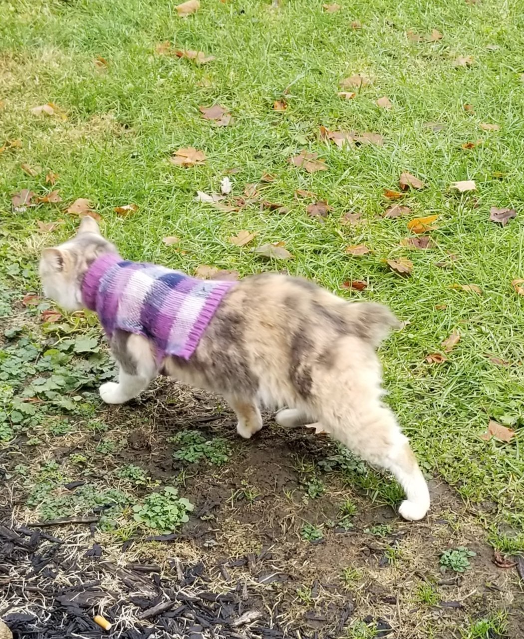 20181120_115940.jpg