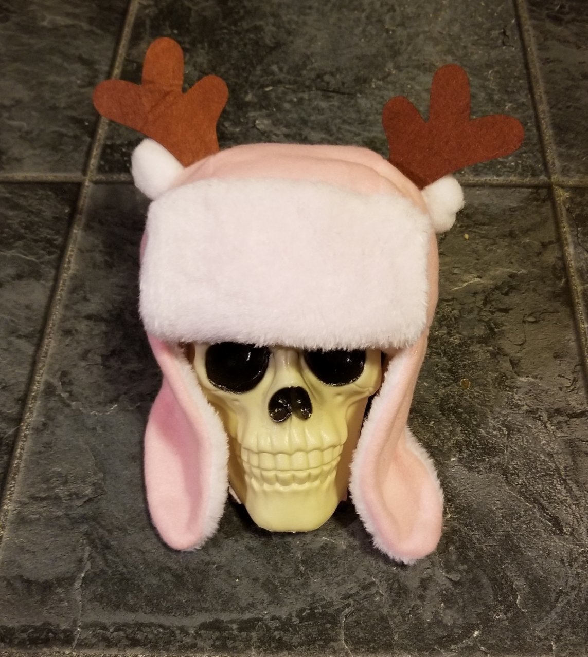 20181202_211234.jpg