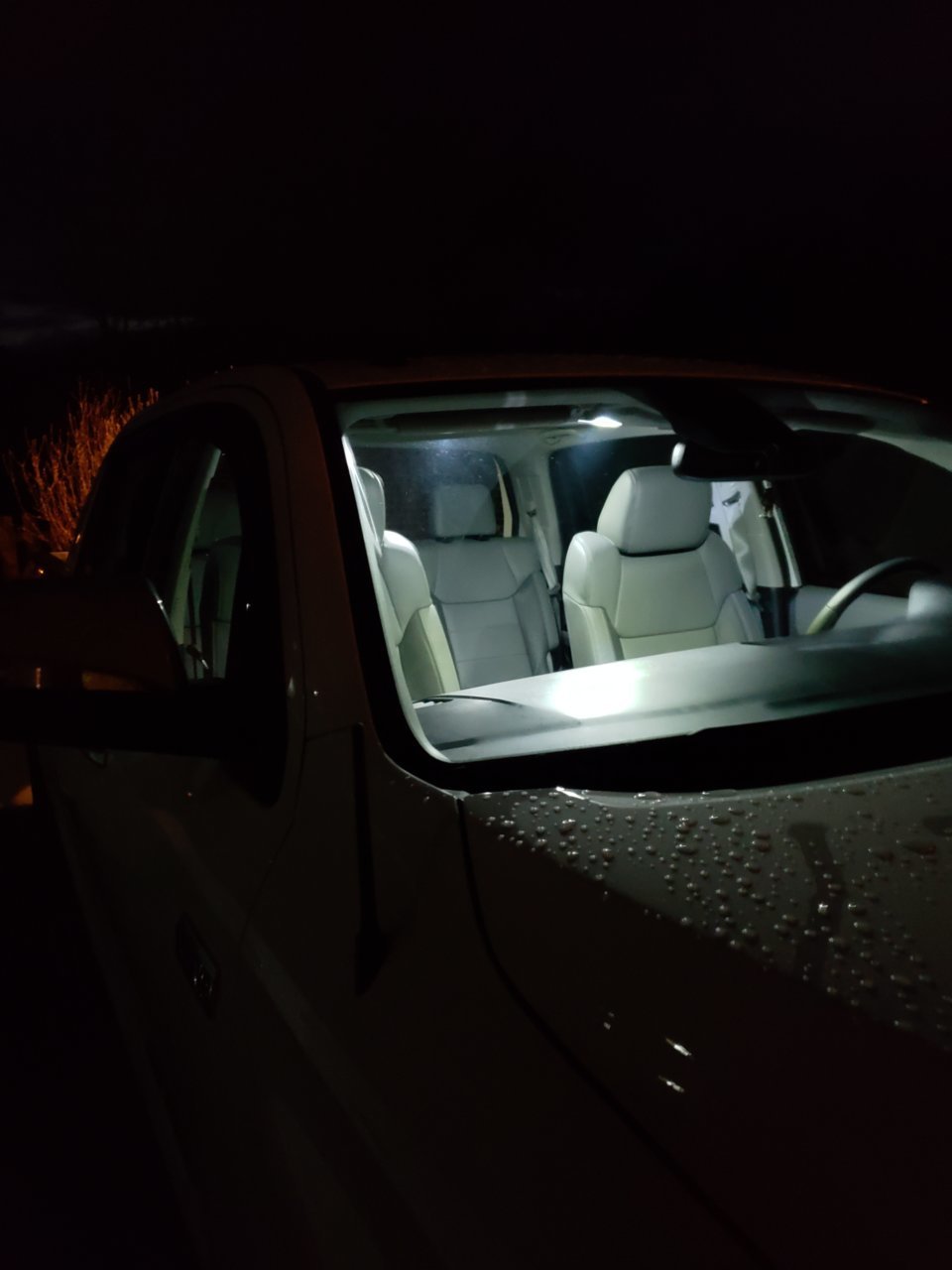 20181215_181037.jpg