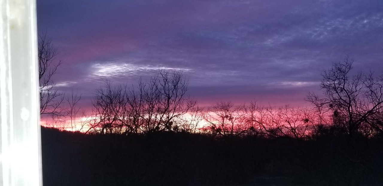 20181216_071241.jpg
