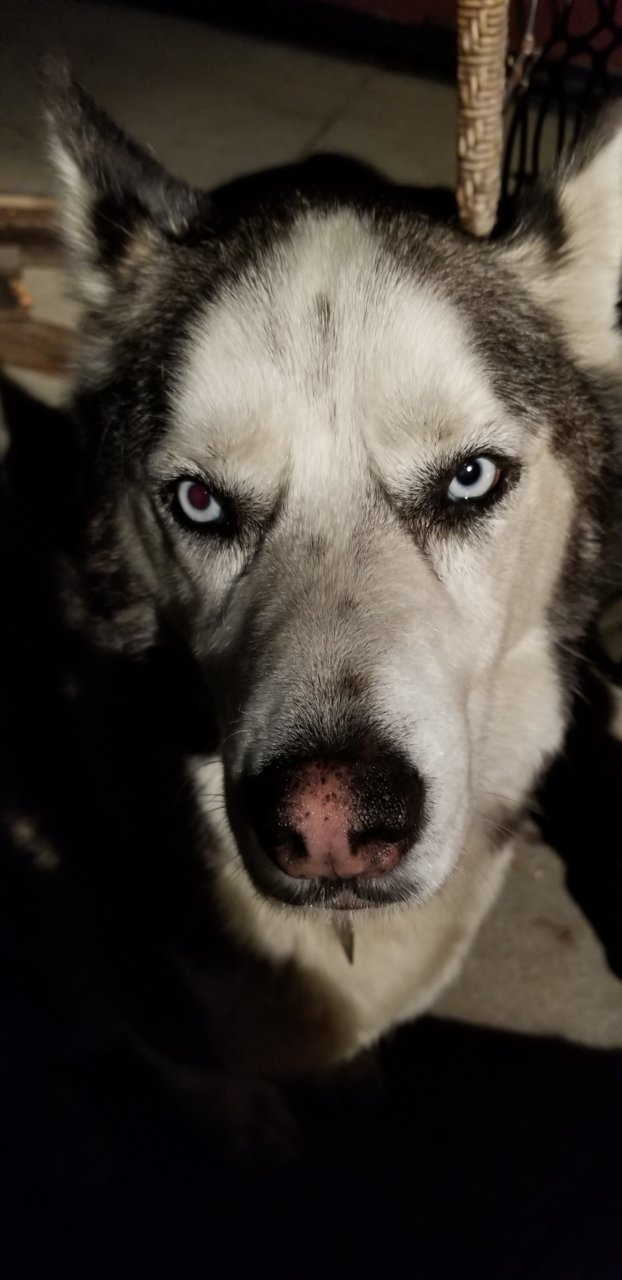 20181222_210444.jpg