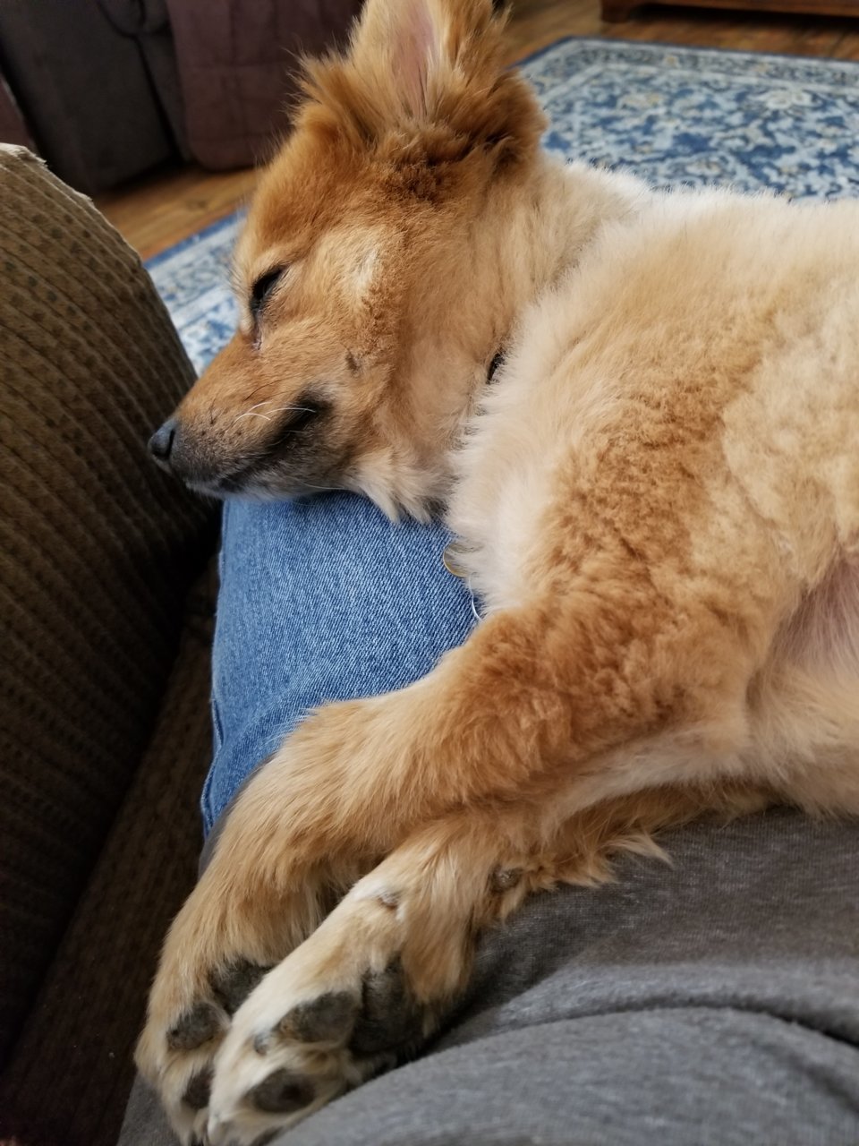 20181224_124333.jpg