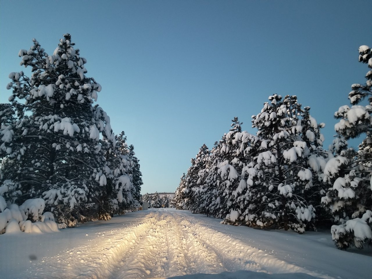 20181229_065303.jpg