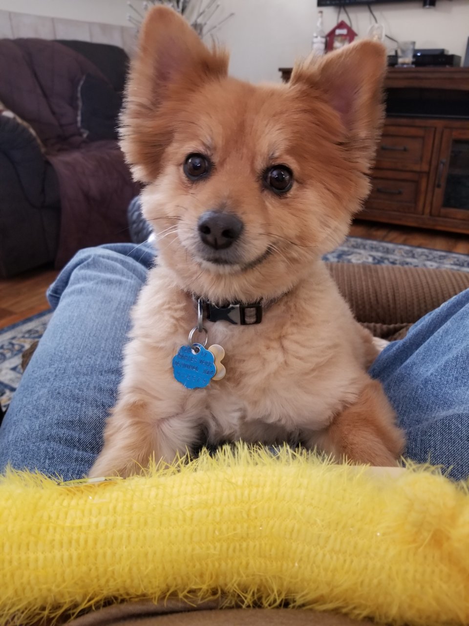 20190105_125314.jpg