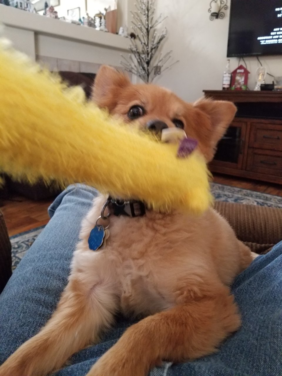 20190105_125515.jpg