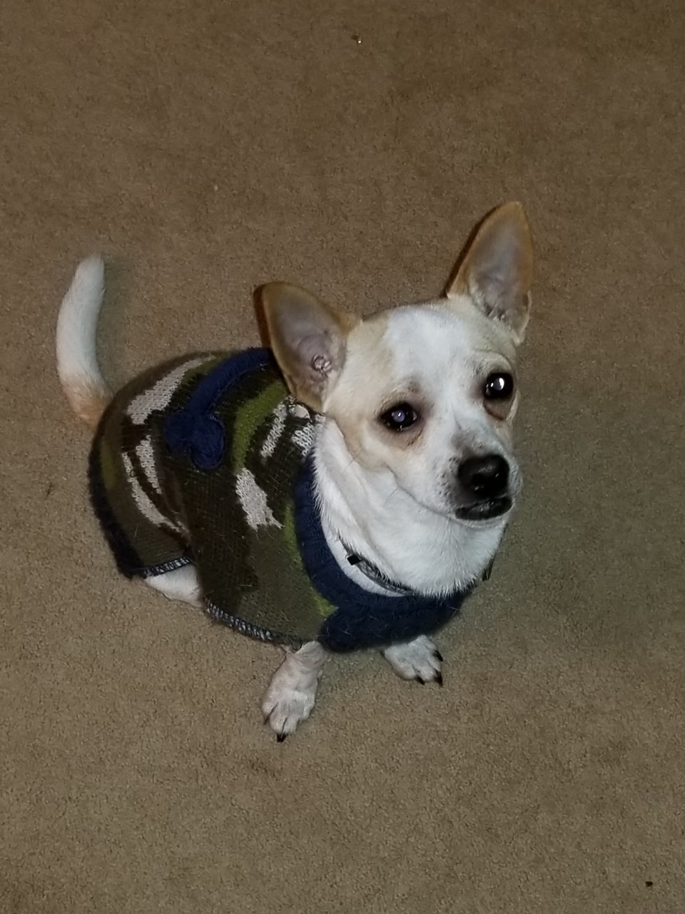 20190110_200136.jpg
