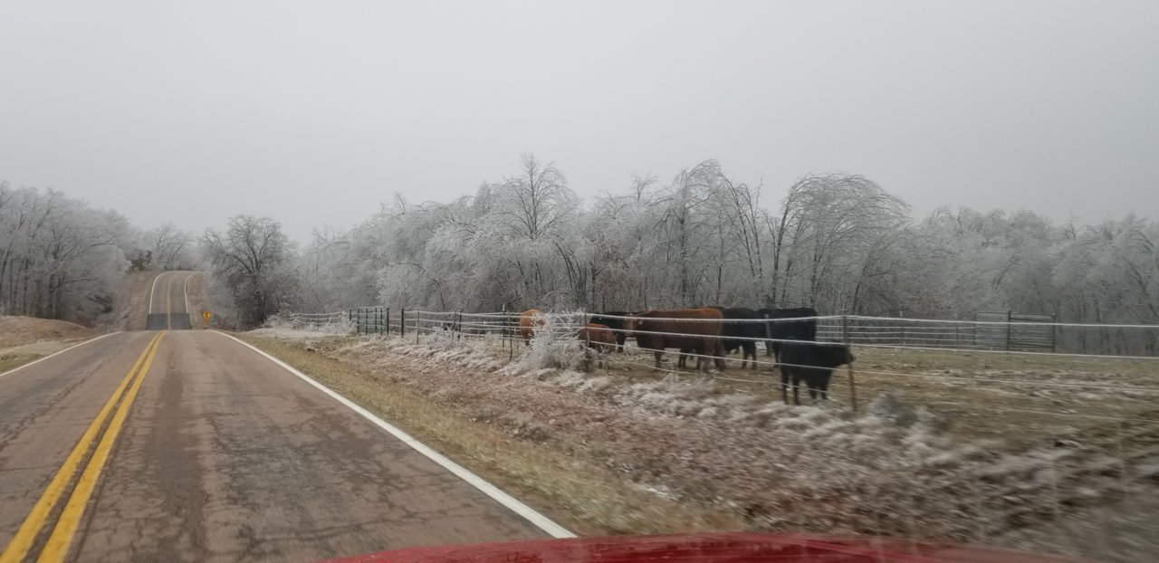 20190113_154042.jpg