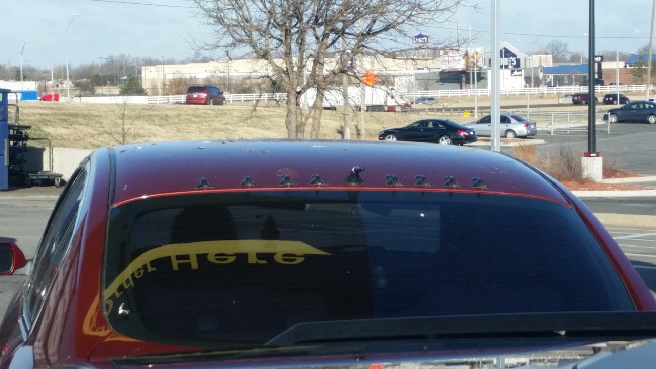 20190123_092525.jpg