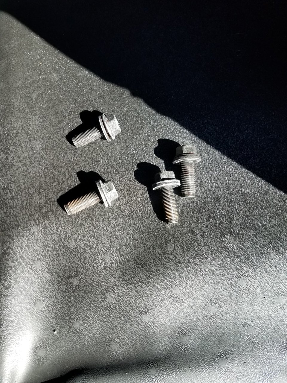 20190125_115834.jpg