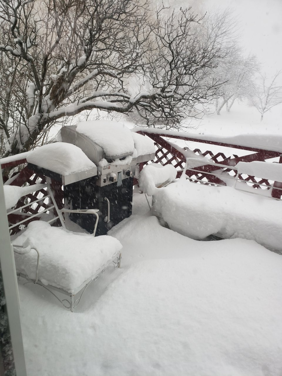 20190127_155851.jpg