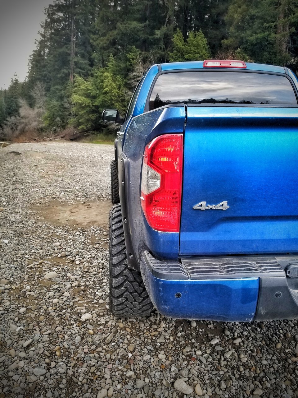 20190207_161737-01.jpg