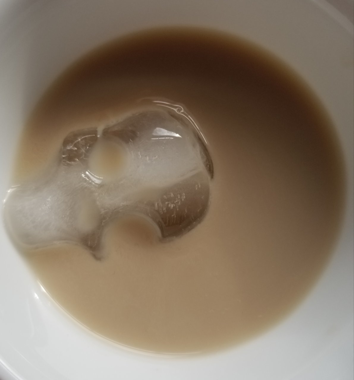 20190210_102414.jpg