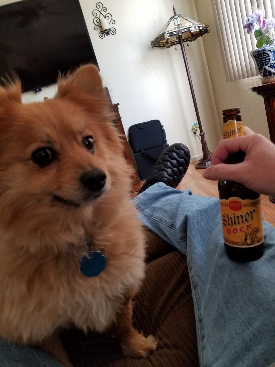 20190228_143215.jpg