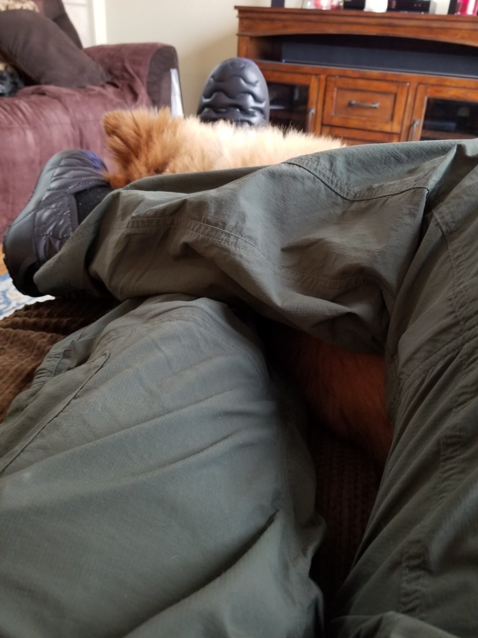 20190301_123028.jpg