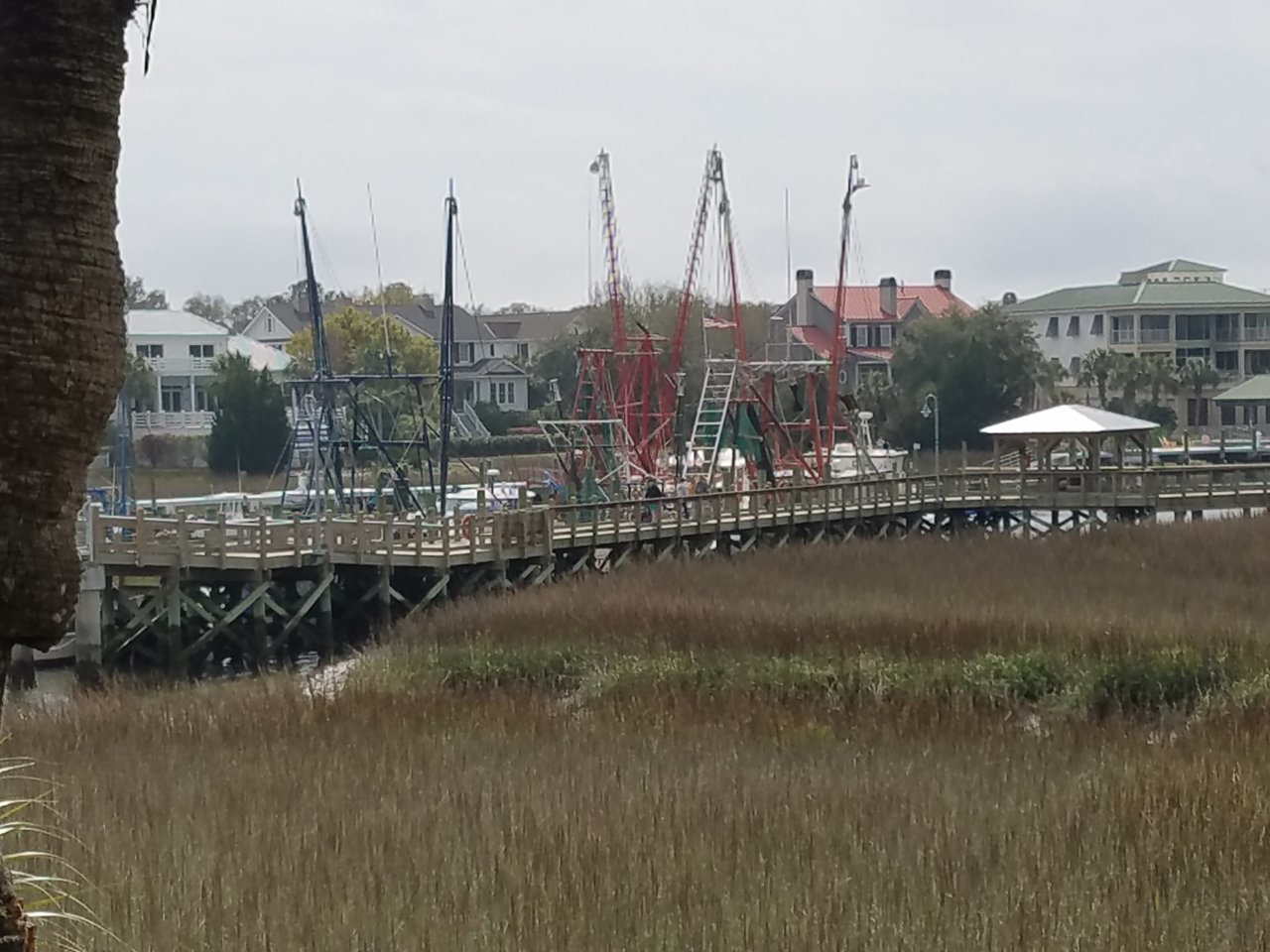 20190302_125450.jpg