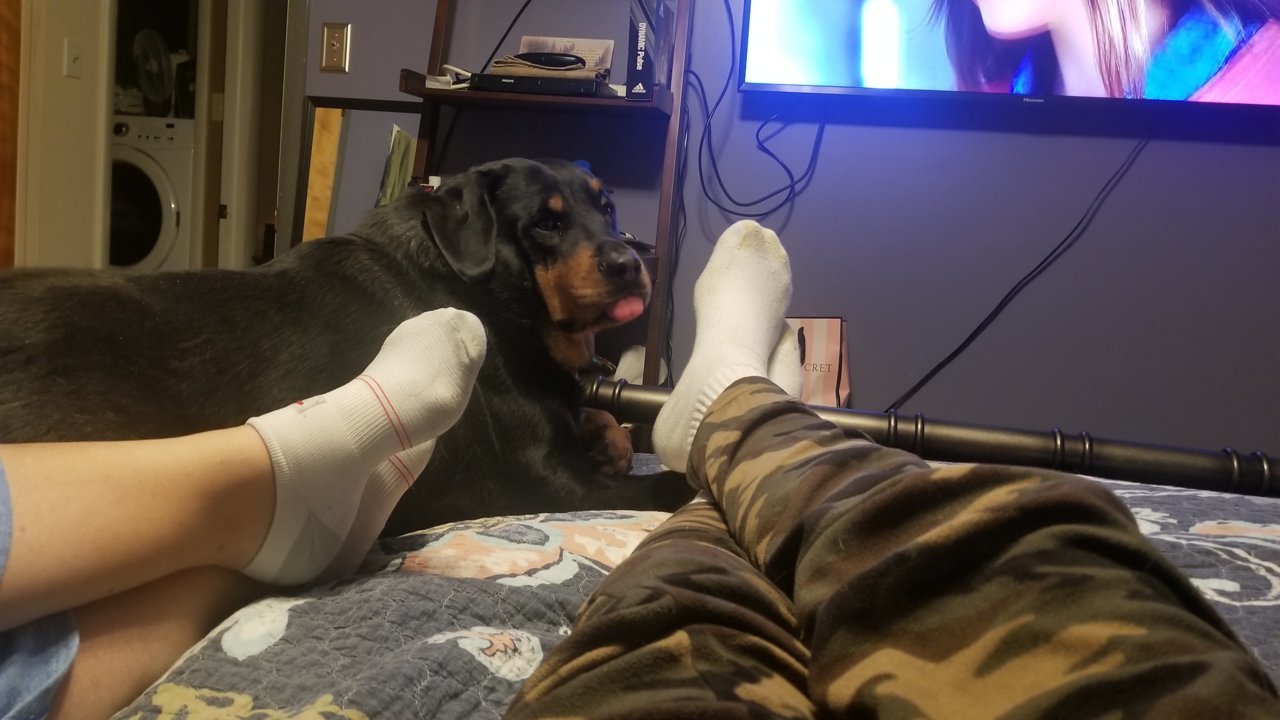 20190302_213127.jpg