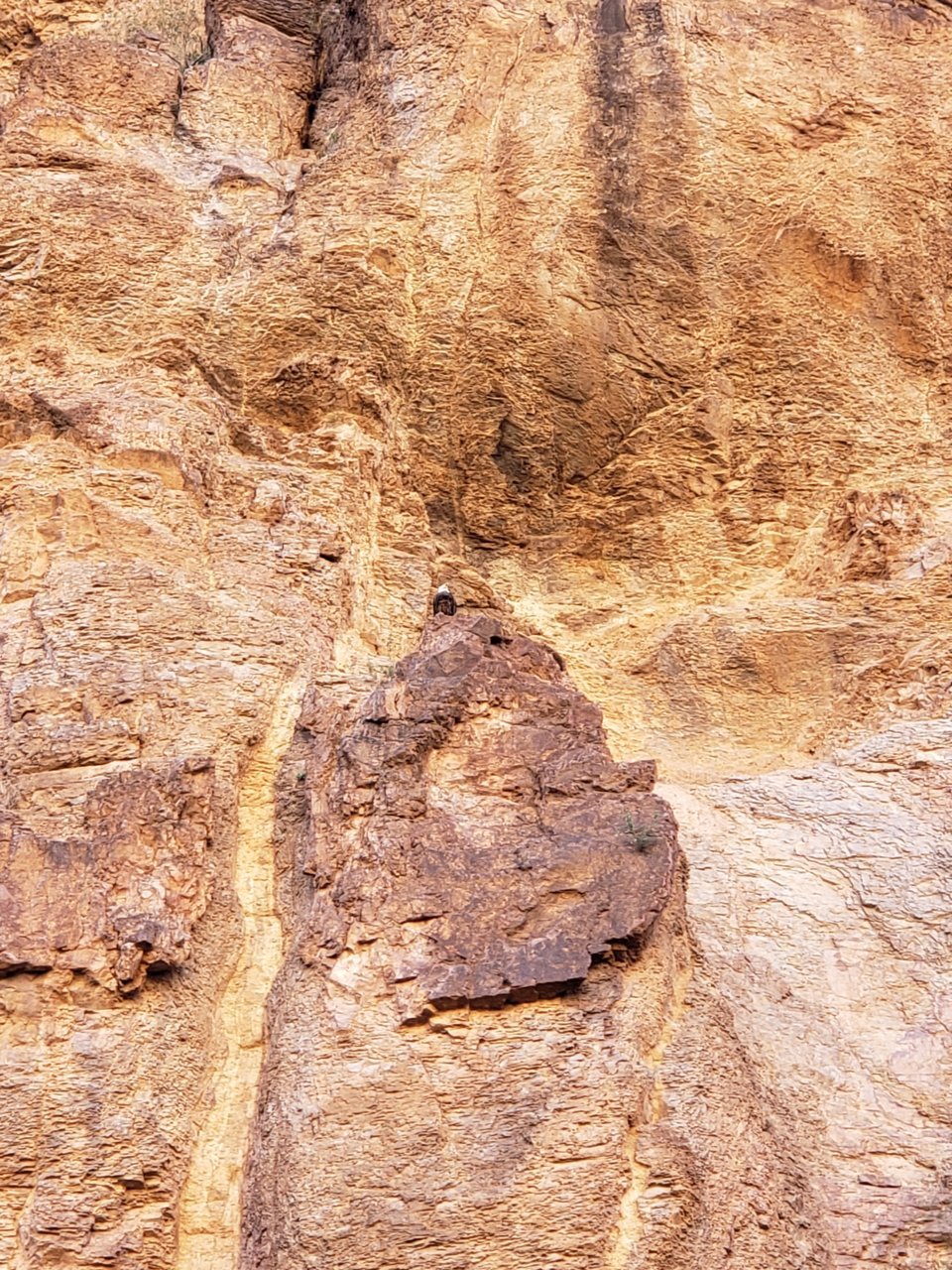 20190304_094436.jpg