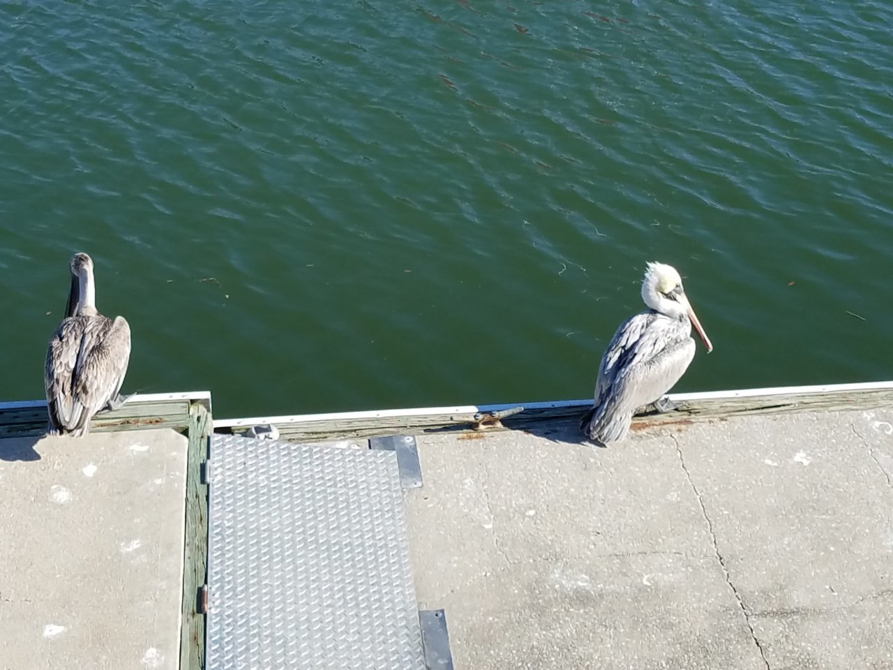 20190307_152934.jpg