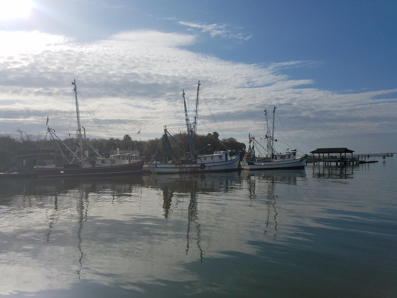 20190309_084523.jpg