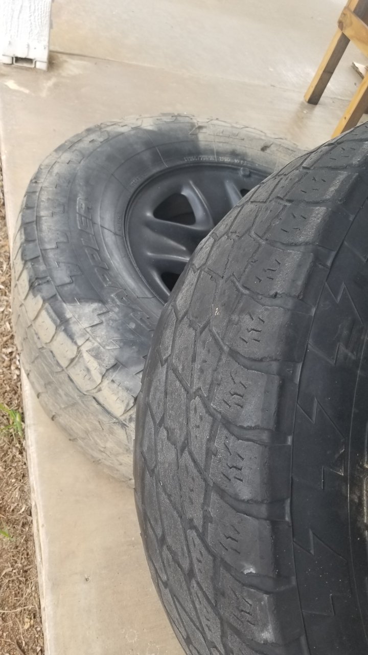 20190312_151011.jpg
