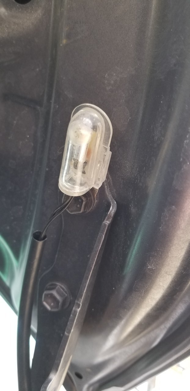 20190313_141441.jpg