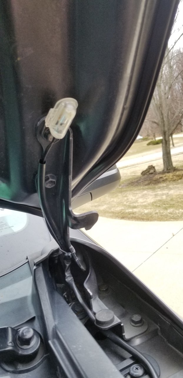 20190313_141449.jpg
