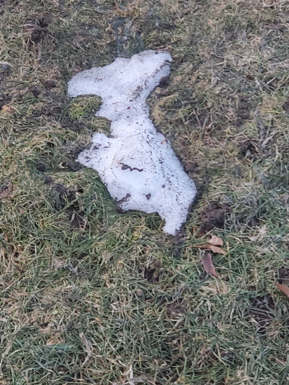 20190322_190012.jpg