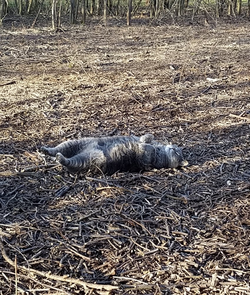 20190327_1821541.jpg