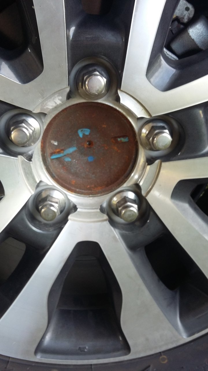 20190328_171235.jpg
