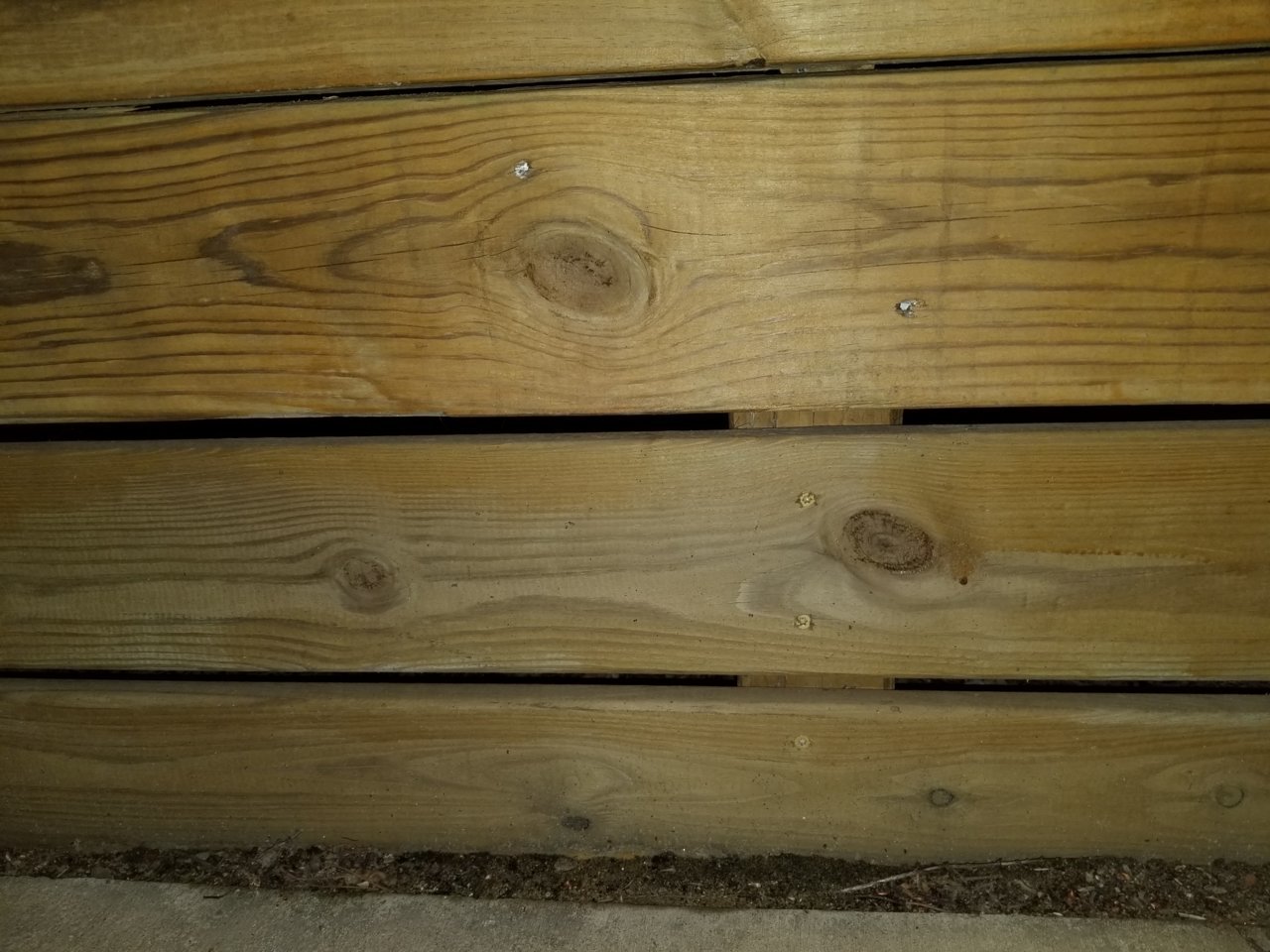 20190328_202558.jpg