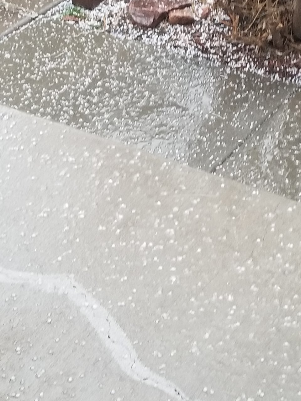 20190329_175817.jpg