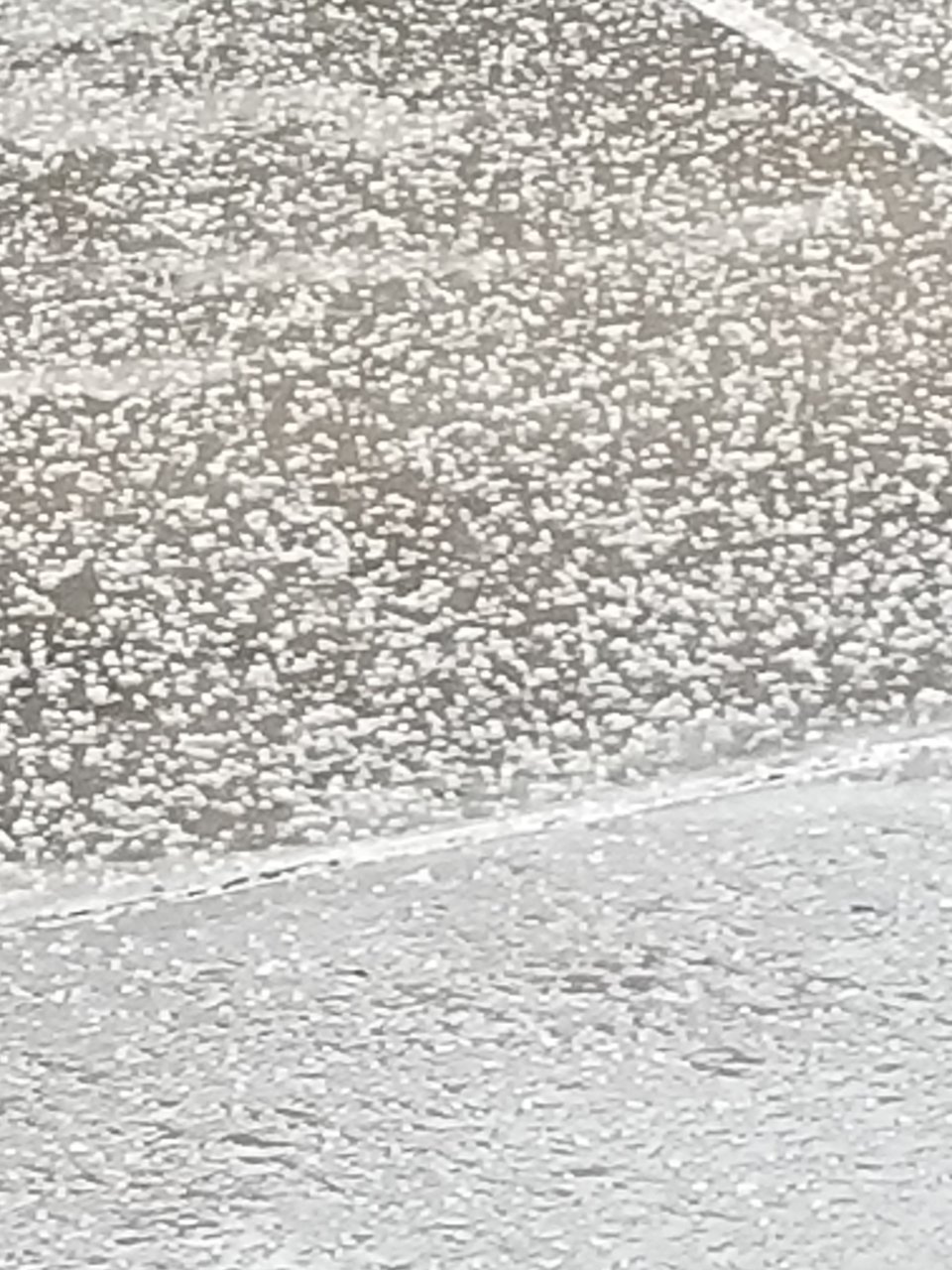 20190329_175822.jpg