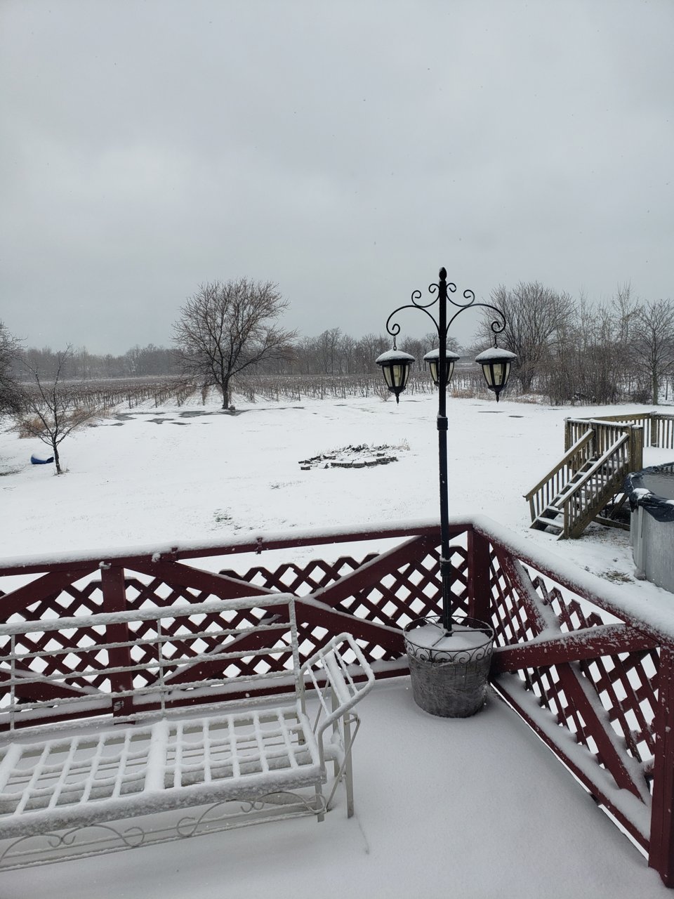 20190331_114931.jpg