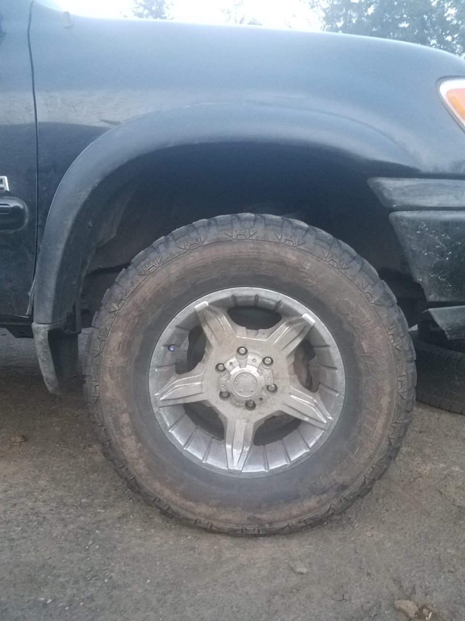20190403_194245.jpg