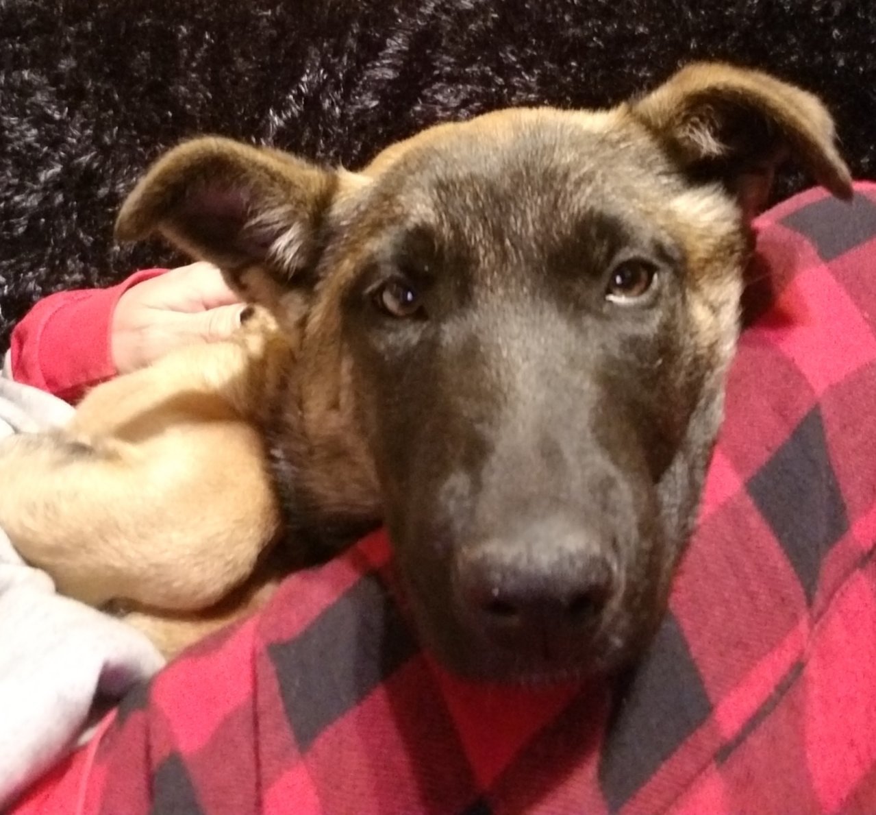 20190405_230340.jpg