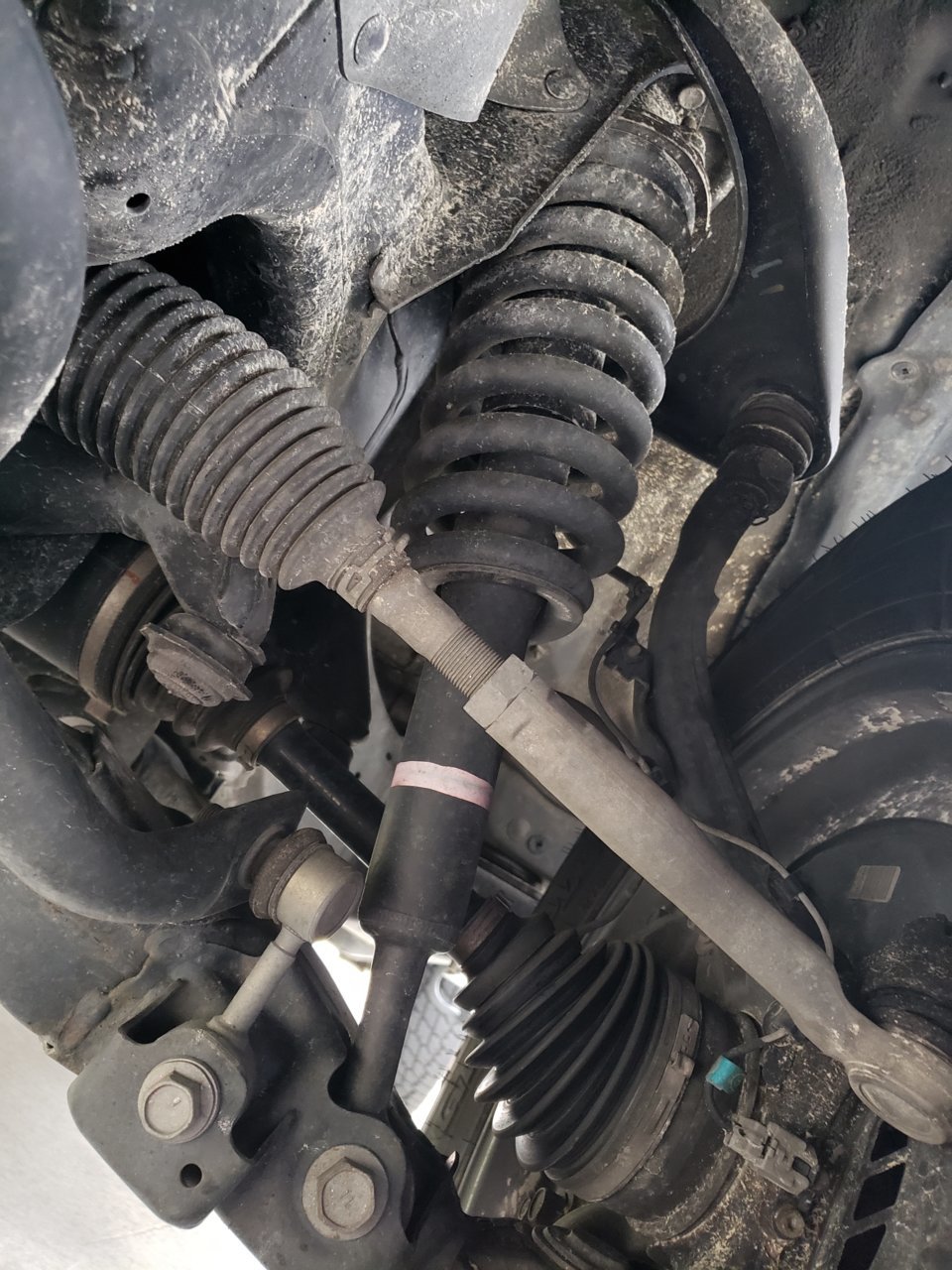 20190406_073946.jpg