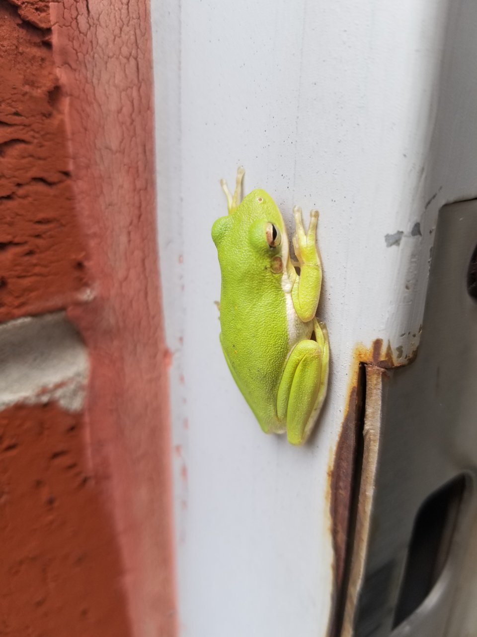 20190409_104550.jpg