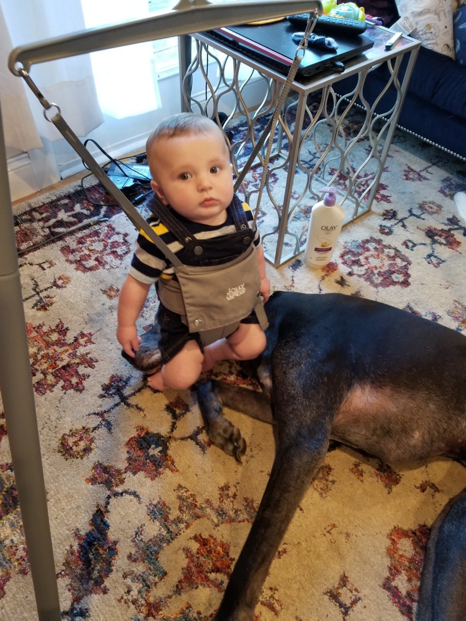 20190415_181329.jpg