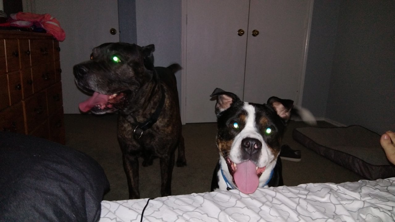 20190416_113619.jpg