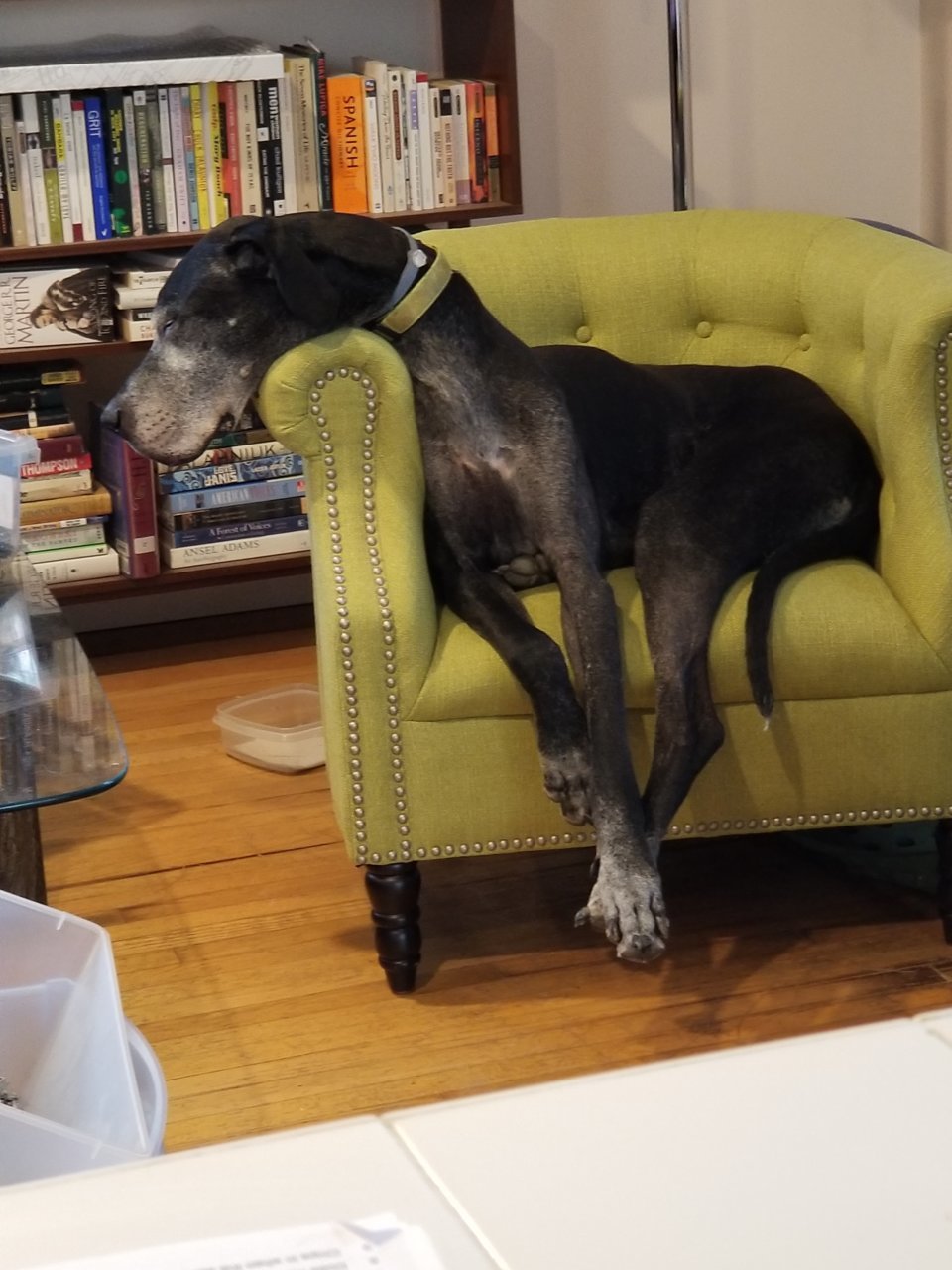 20190417_175111.jpg
