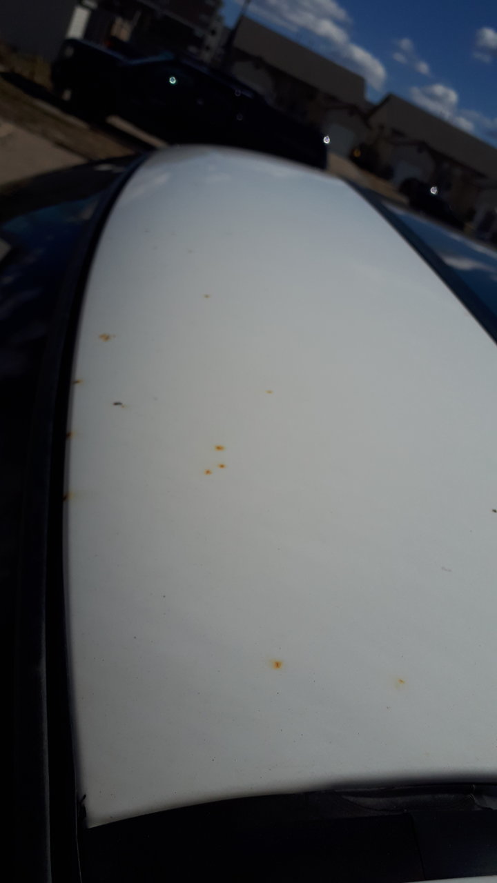 20190419_134501.jpg