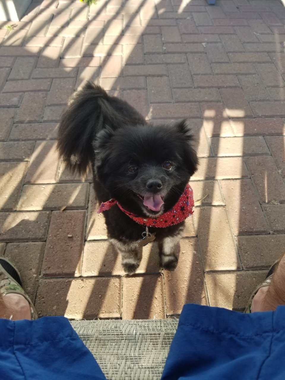 20190419_180914.jpg