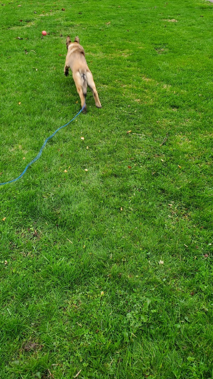 20190420_082848.jpg