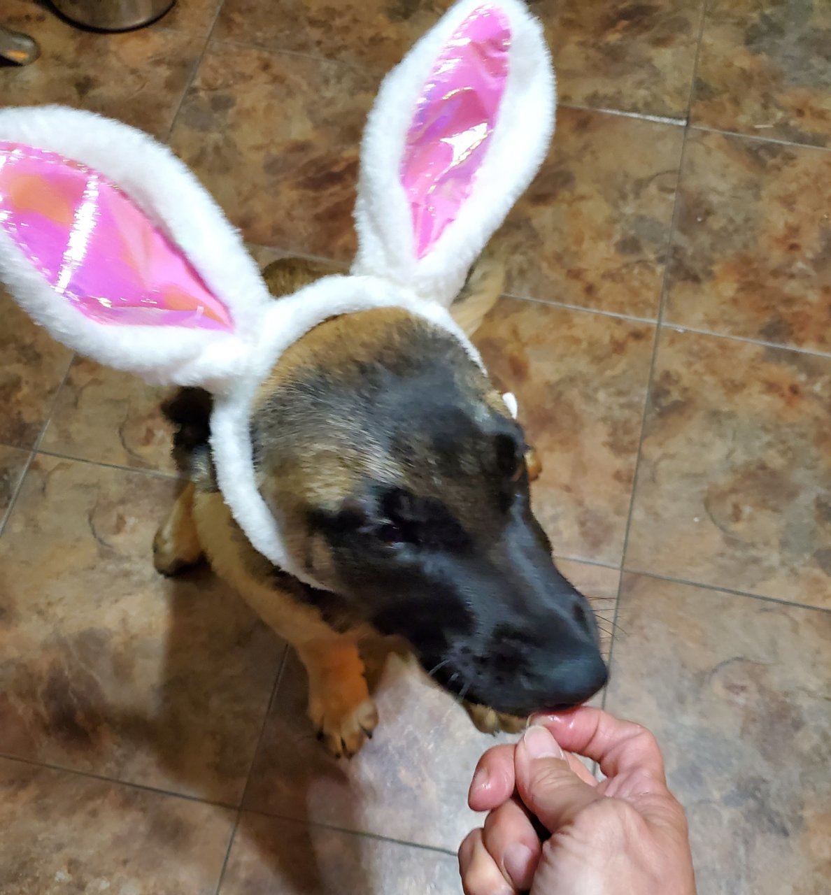 20190421_081858.jpg
