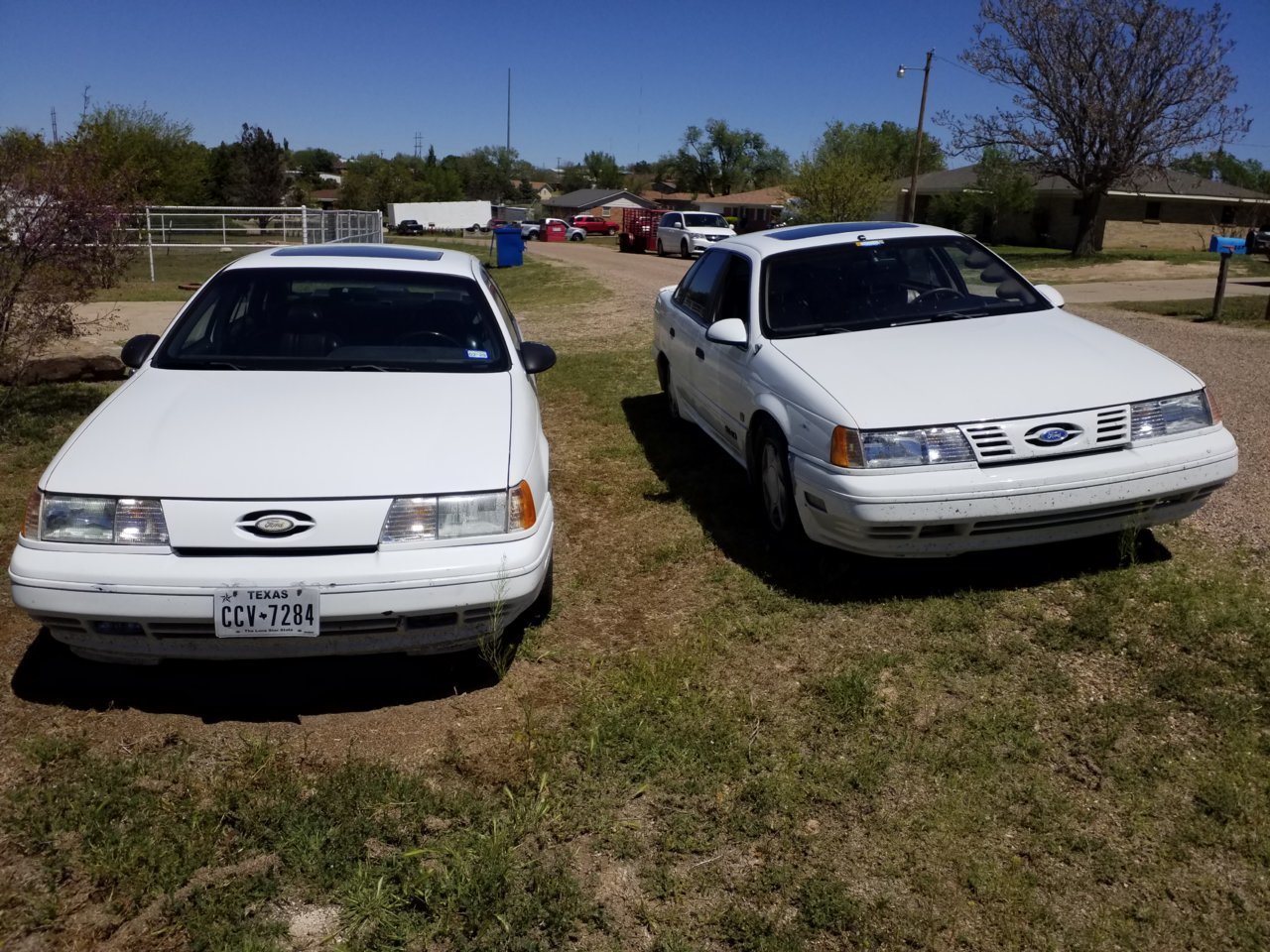 20190421_134256.jpg