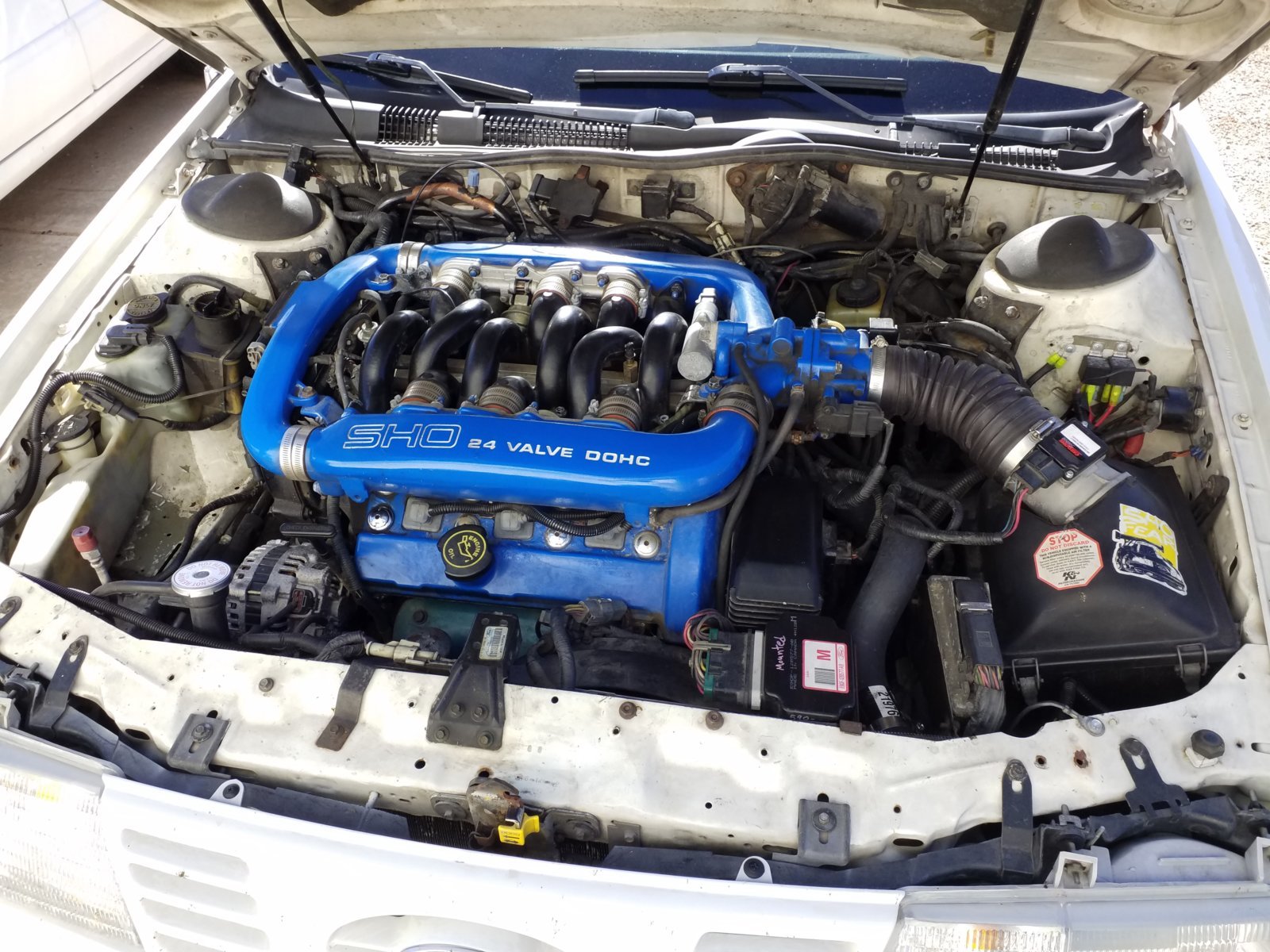 20190421_171137.jpg