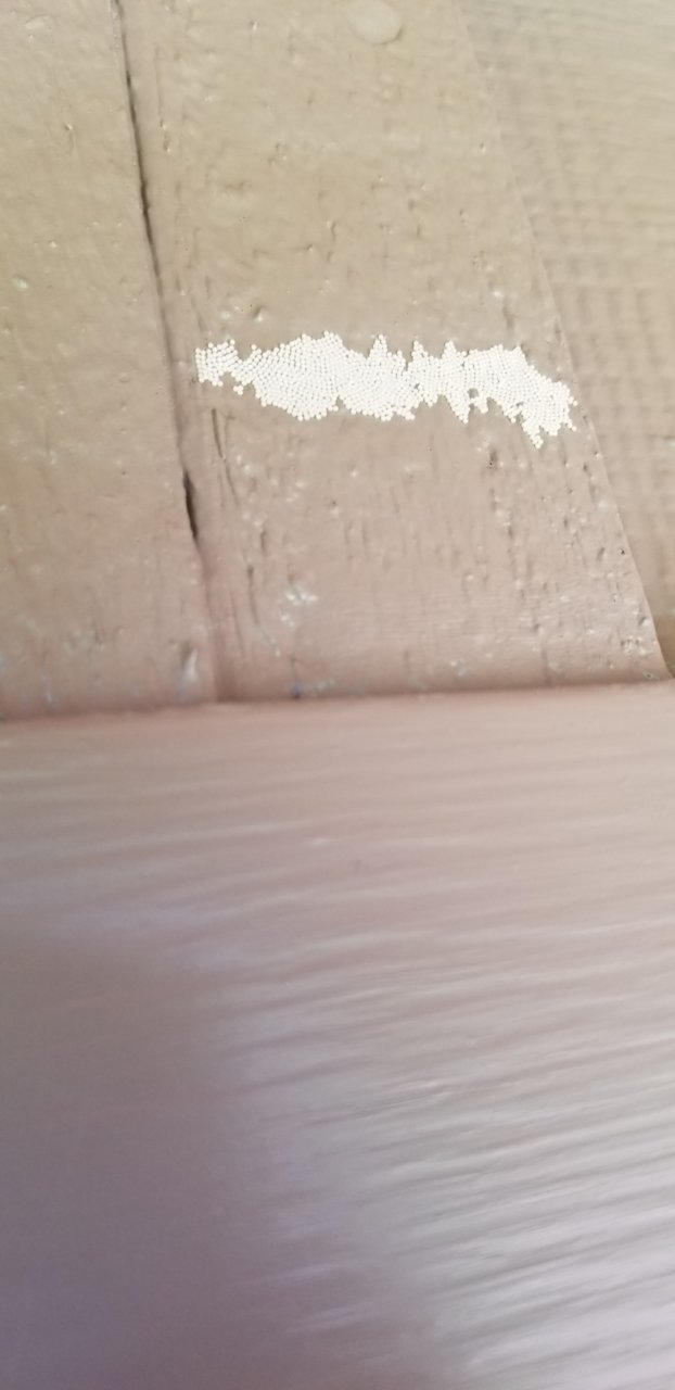 20190428_124853.jpg