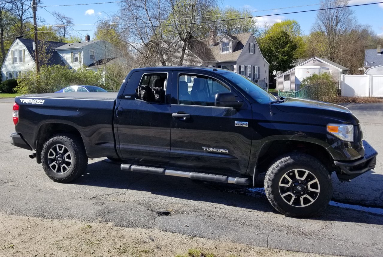 20190429_073947.jpg