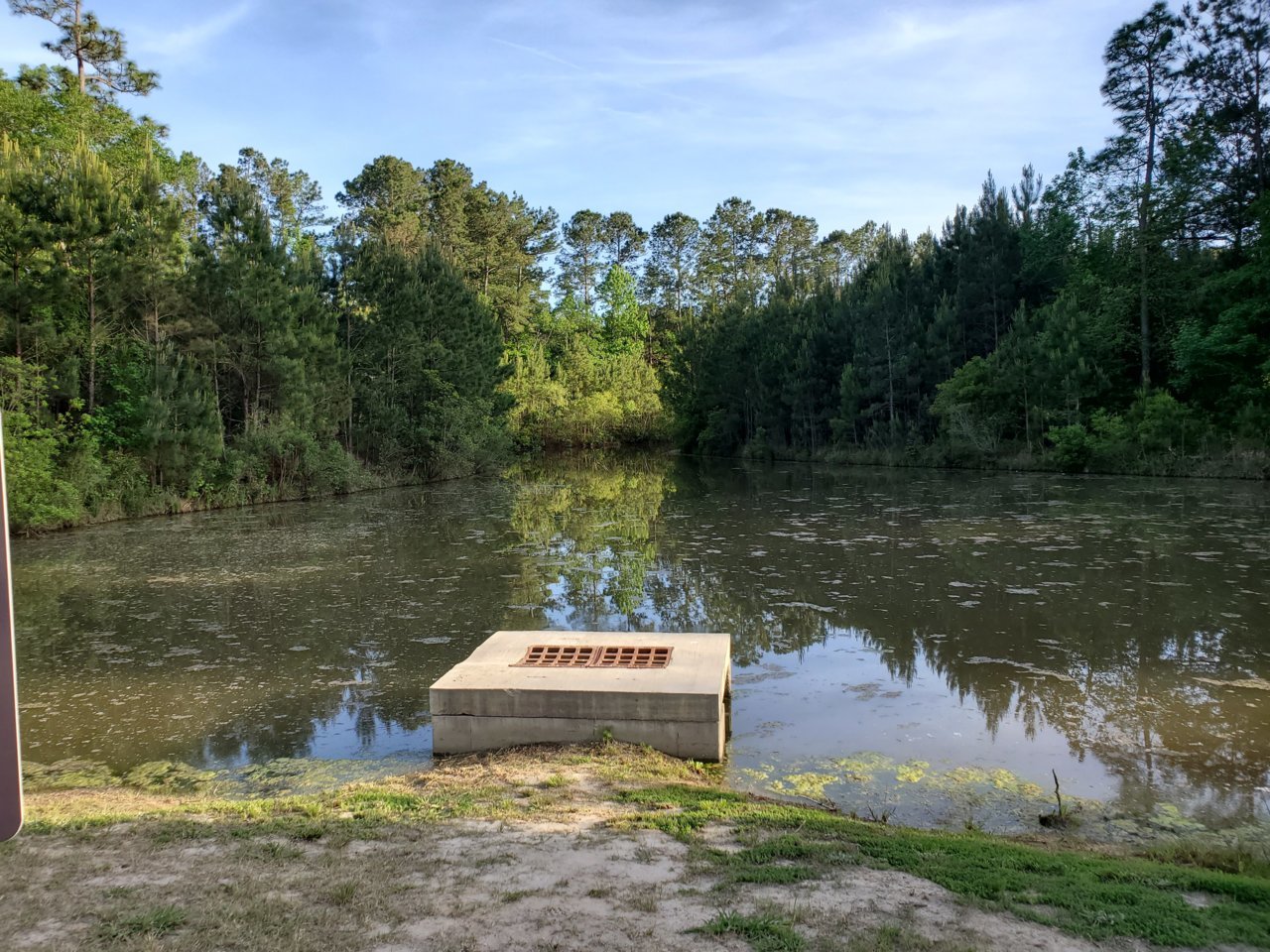 20190430_184643.jpg