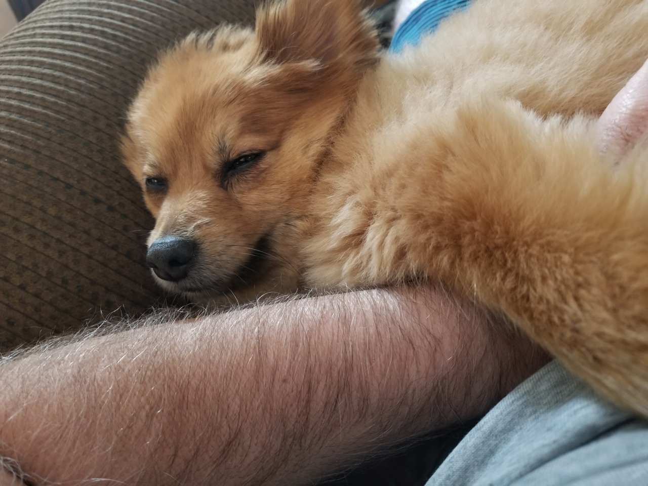20190501_103104.jpg